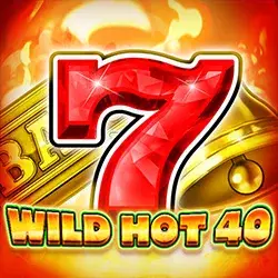 Wild Hot 40 slot cover art